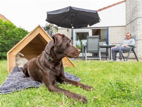 weekend weg met hond omheinde tuin|Vakantiehuisje omheinde tuin 